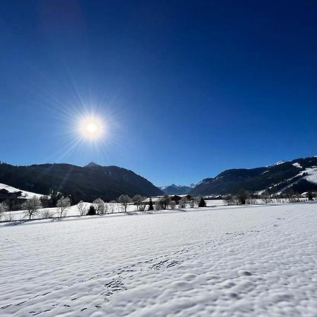 Haus Vogelmuehle Apartment Flachau Luaran gambar