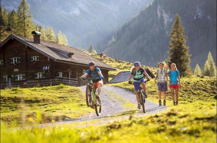 Haus Vogelmuehle Apartment Flachau Luaran gambar